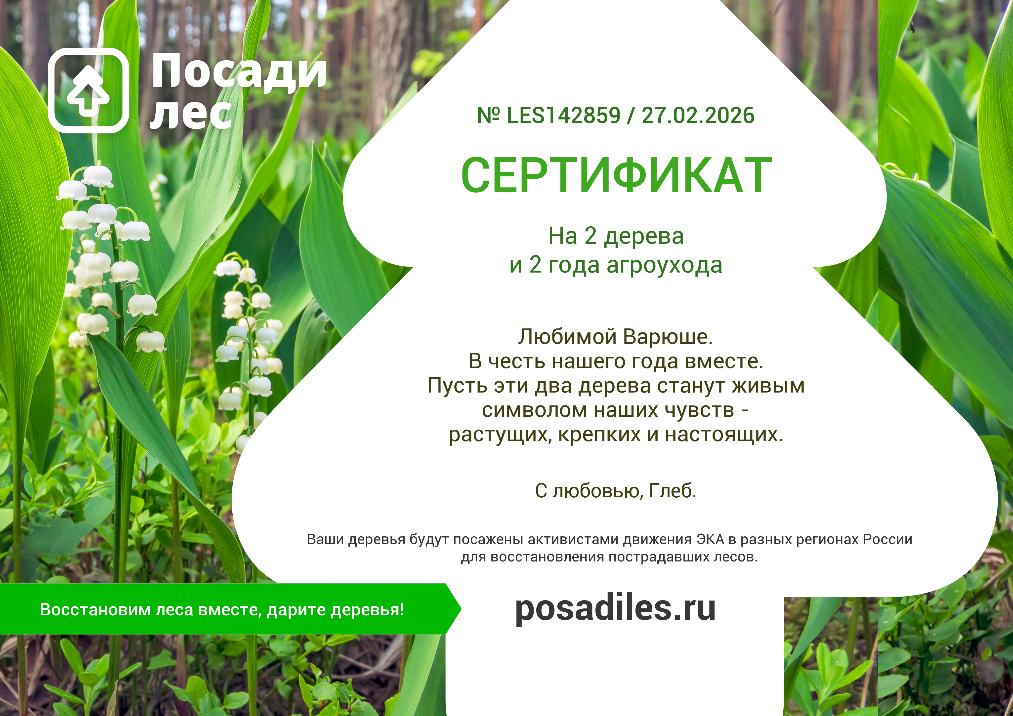Сертификат Посади лес на два дерева
